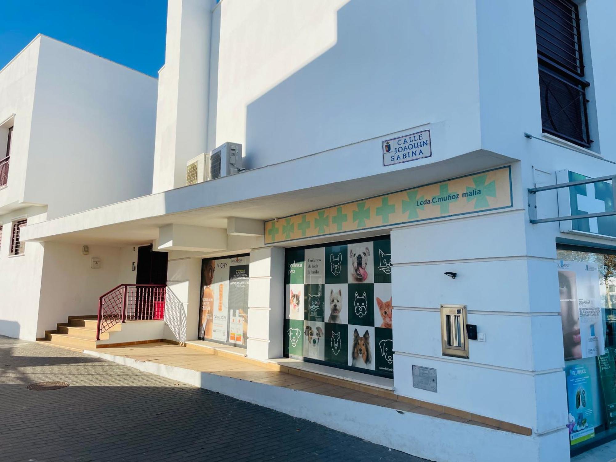 Atico Premium Conil Con 2 Terrazas, Parking, Piscina, Aire Ac Y Wifi -Solo Familias Y Parejas- Διαμέρισμα Conil De La Frontera Εξωτερικό φωτογραφία